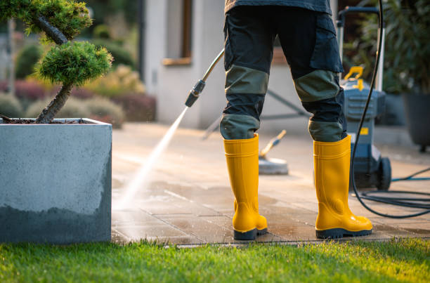 Best Pressure Washing Near Me  in USA